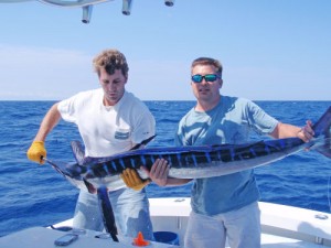 Season’s First White Marlin Hooked