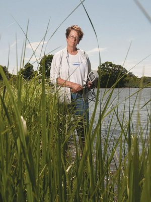 Q&A With Assateague Coastkeeper Kathy Phillips, Large-Scale Poultry Operations ‘Raising A Lot Of Concerns’ On Shore