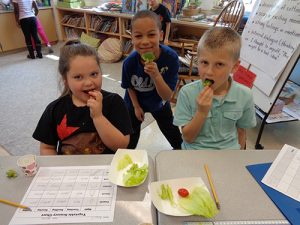 OC Elementary Second Grade Students Try Vegetables