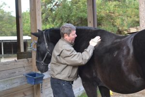 New Horse Riding Program Pairs Veterans, At-Risk Individuals