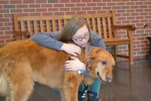 Therapy Dog Works His First Day Inside High School